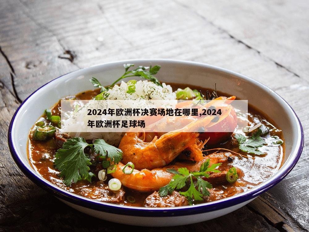 2024年欧洲杯决赛场地在哪里,2024年欧洲杯足球场