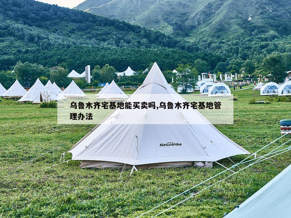 乌鲁木齐宅基地能买卖吗,乌鲁木齐宅基地管理办法