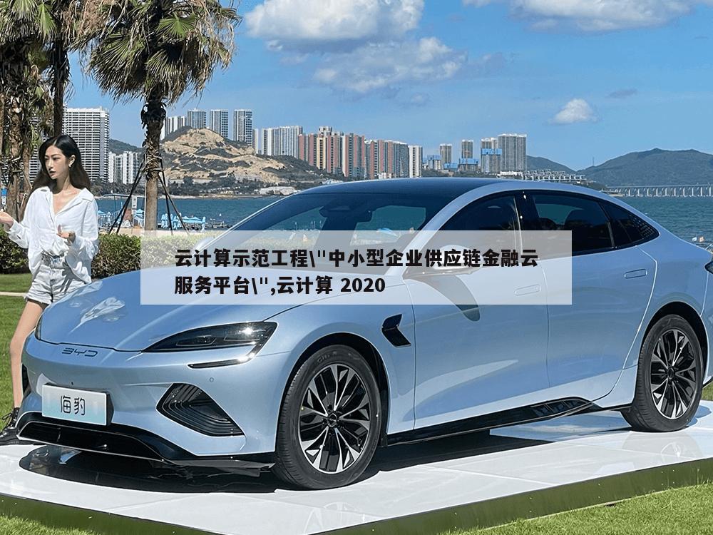 云计算示范工程\"中小型企业供应链金融云服务平台\",云计算 2020