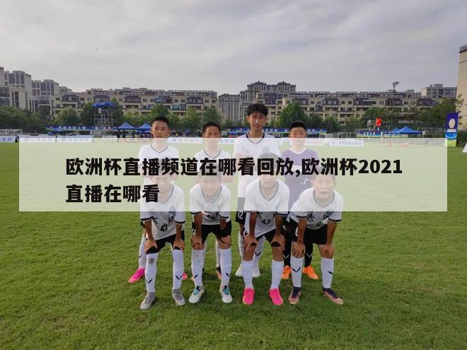 欧洲杯直播频道在哪看回放,欧洲杯2021直播在哪看