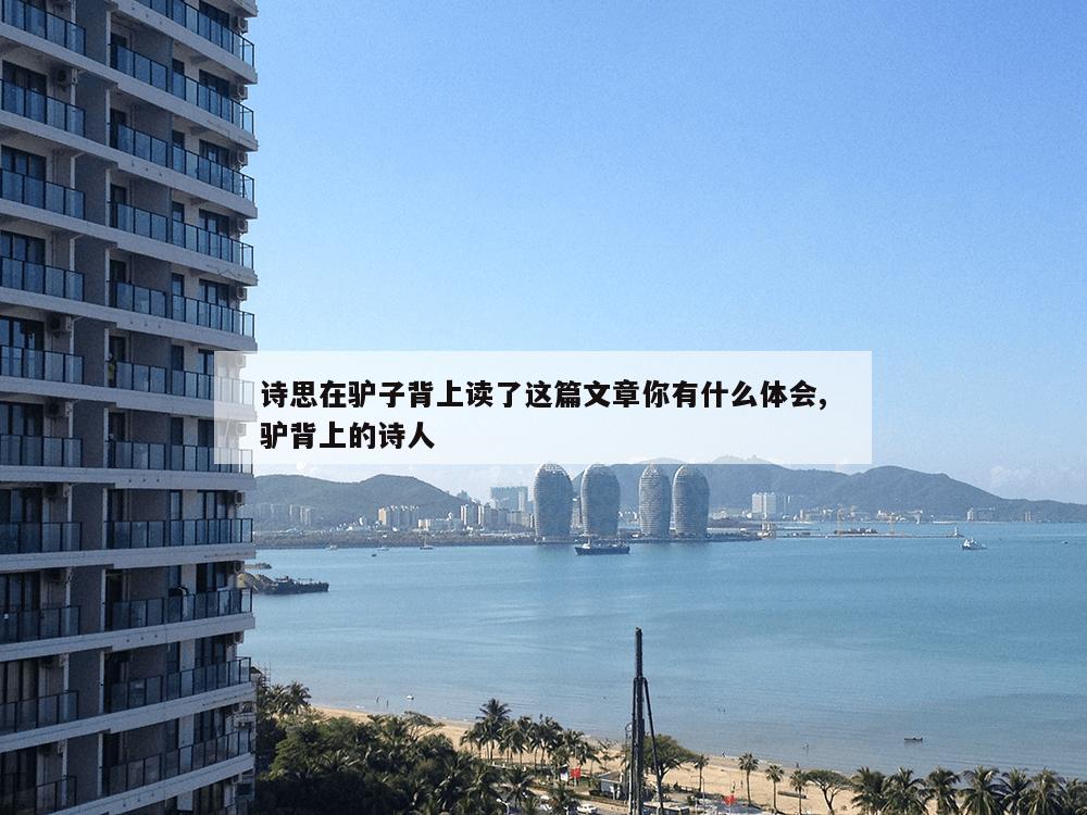 诗思在驴子背上读了这篇文章你有什么体会,驴背上的诗人