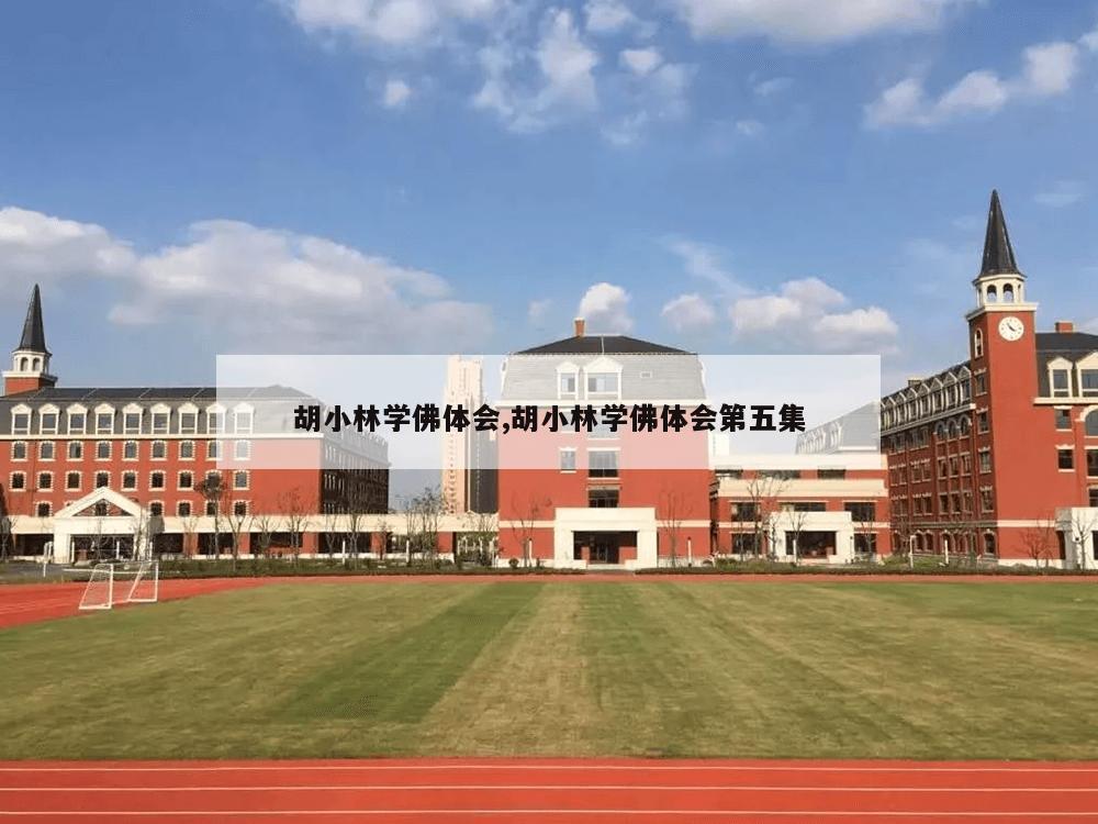 胡小林学佛体会,胡小林学佛体会第五集