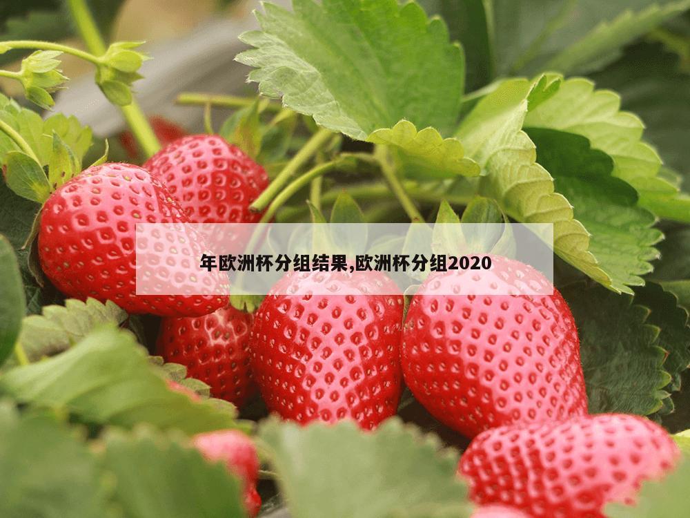 年欧洲杯分组结果,欧洲杯分组2020