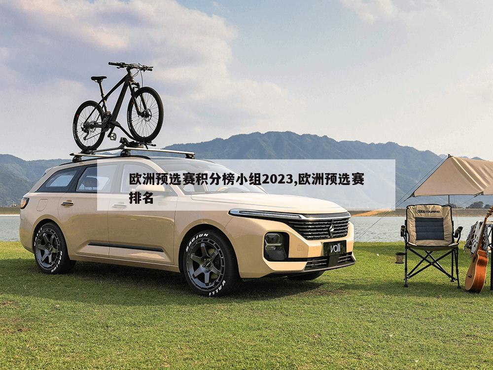 欧洲预选赛积分榜小组2023,欧洲预选赛排名