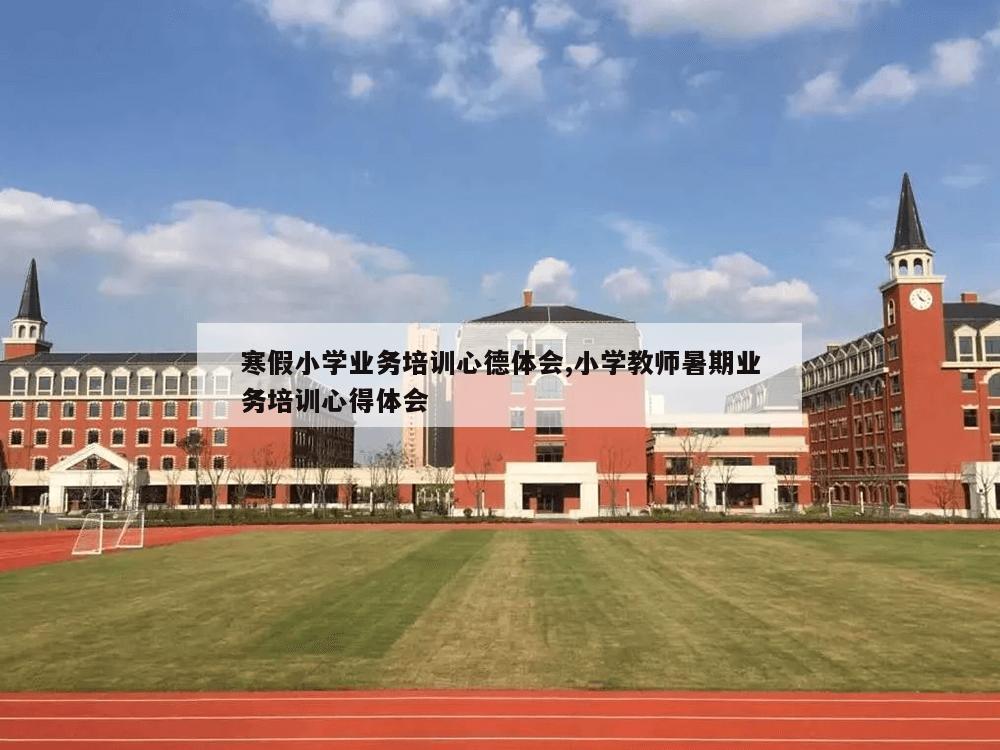 寒假小学业务培训心德体会,小学教师暑期业务培训心得体会