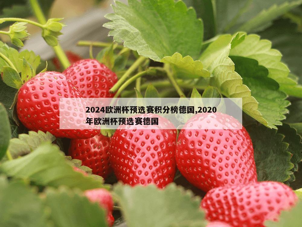 2024欧洲杯预选赛积分榜德国,2020年欧洲杯预选赛德国