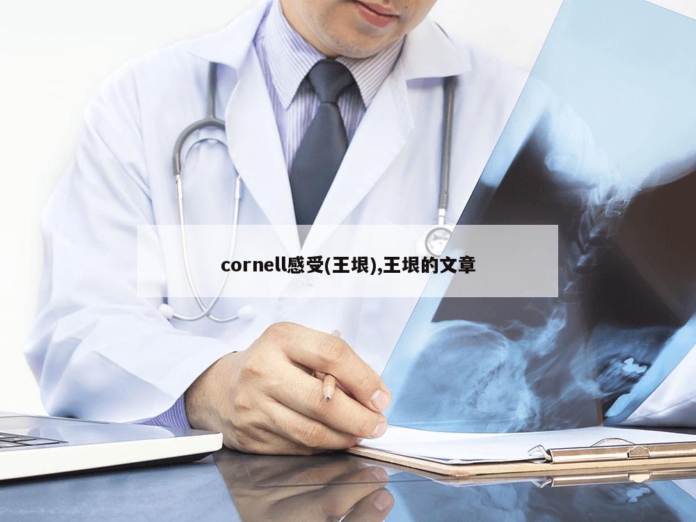 cornell感受(王垠),王垠的文章