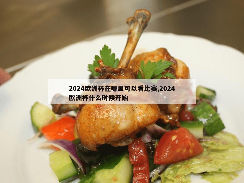 2024欧洲杯在哪里可以看比赛,2024欧洲杯什么时候开始